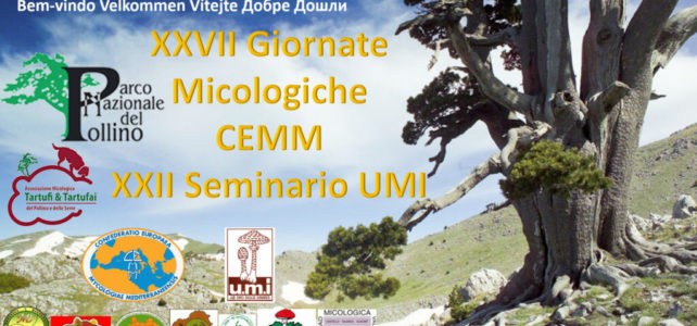 Giornate Micologiche CEMM 2019 Parco del Pollino