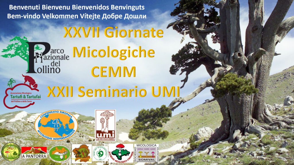 Giornate Micologiche CEMM 2019 Parco del Pollino