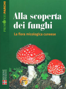 Alla scoperta dei funghi