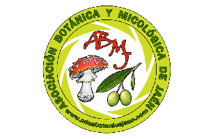 A.B.M.J. (Asociación Botánica y Micológica de Jaén)