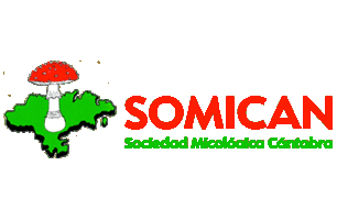 SOMICAN (Sociedad Micológica Cantabra)